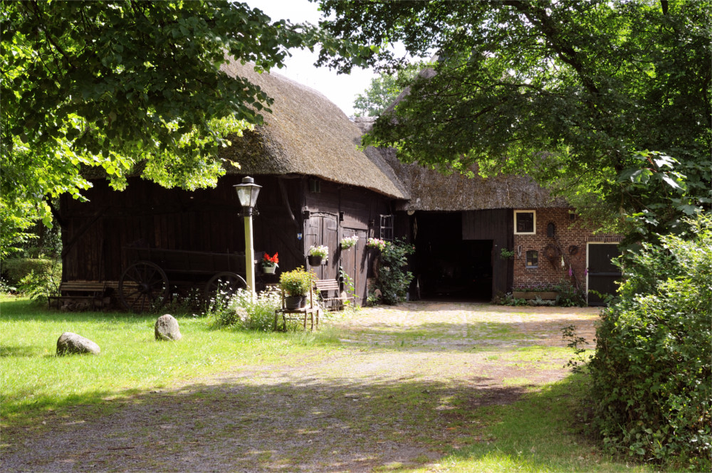 Wija digital marketing - Agrimarketing - DOC kaas