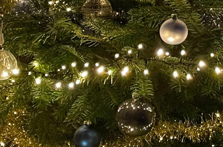 Een zichtbaar en gezond 2022