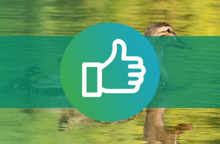 Wija - Meer volgers Facebook