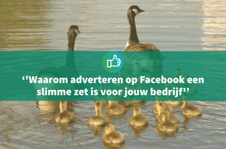 Wija - Facebookadverteren 