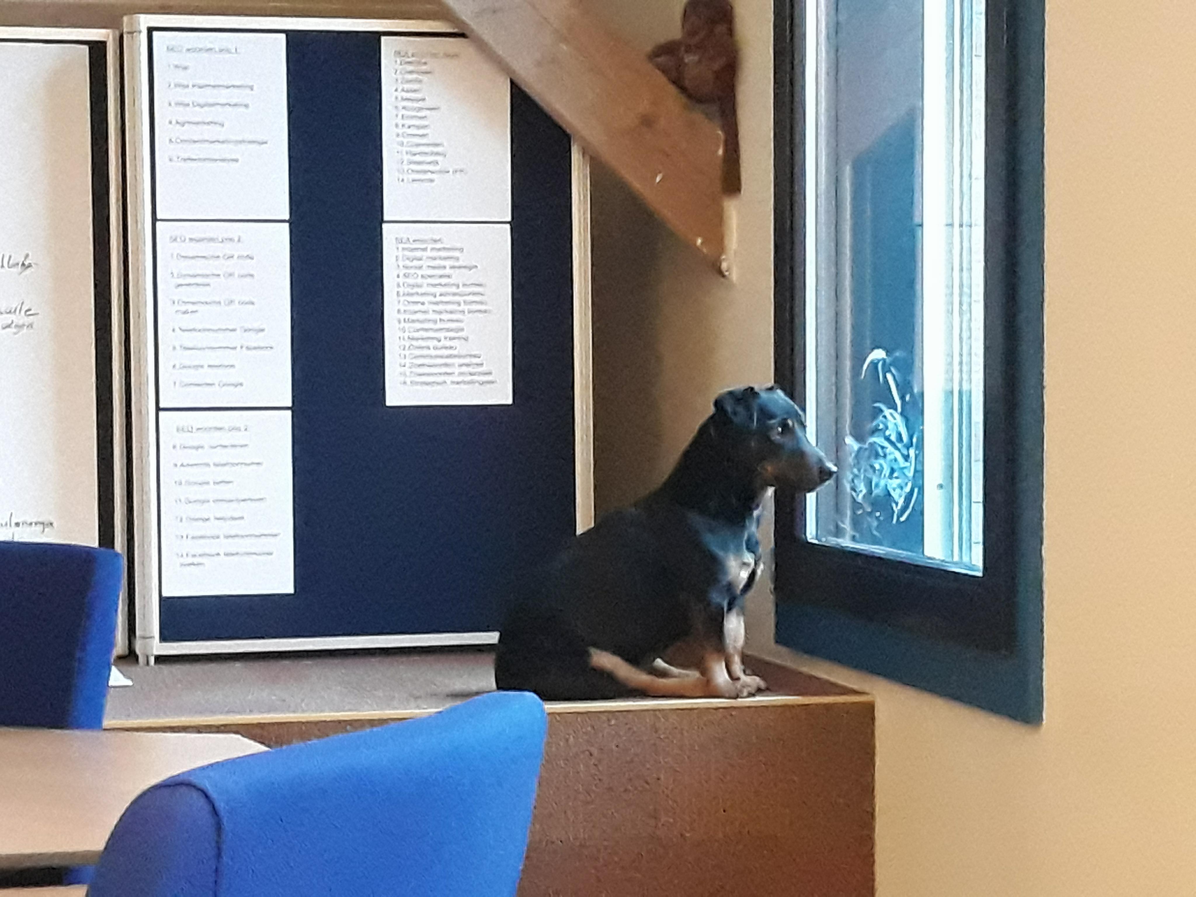 Wija: Meta gegevens invullen Joomla