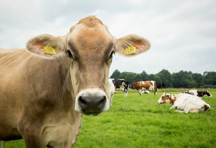 Wegwijs op Instagram in slechts 1 dagdeel