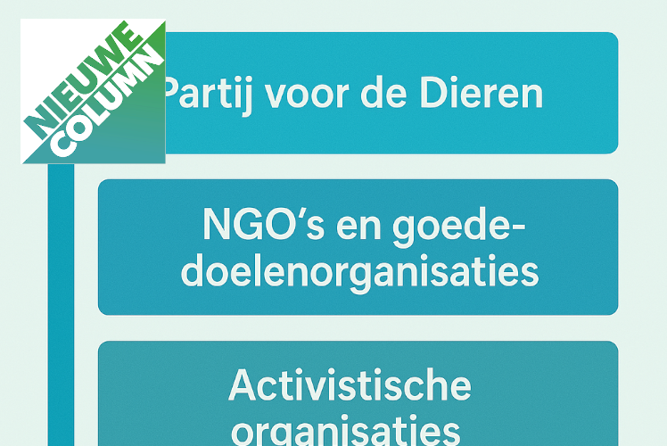 NGO
