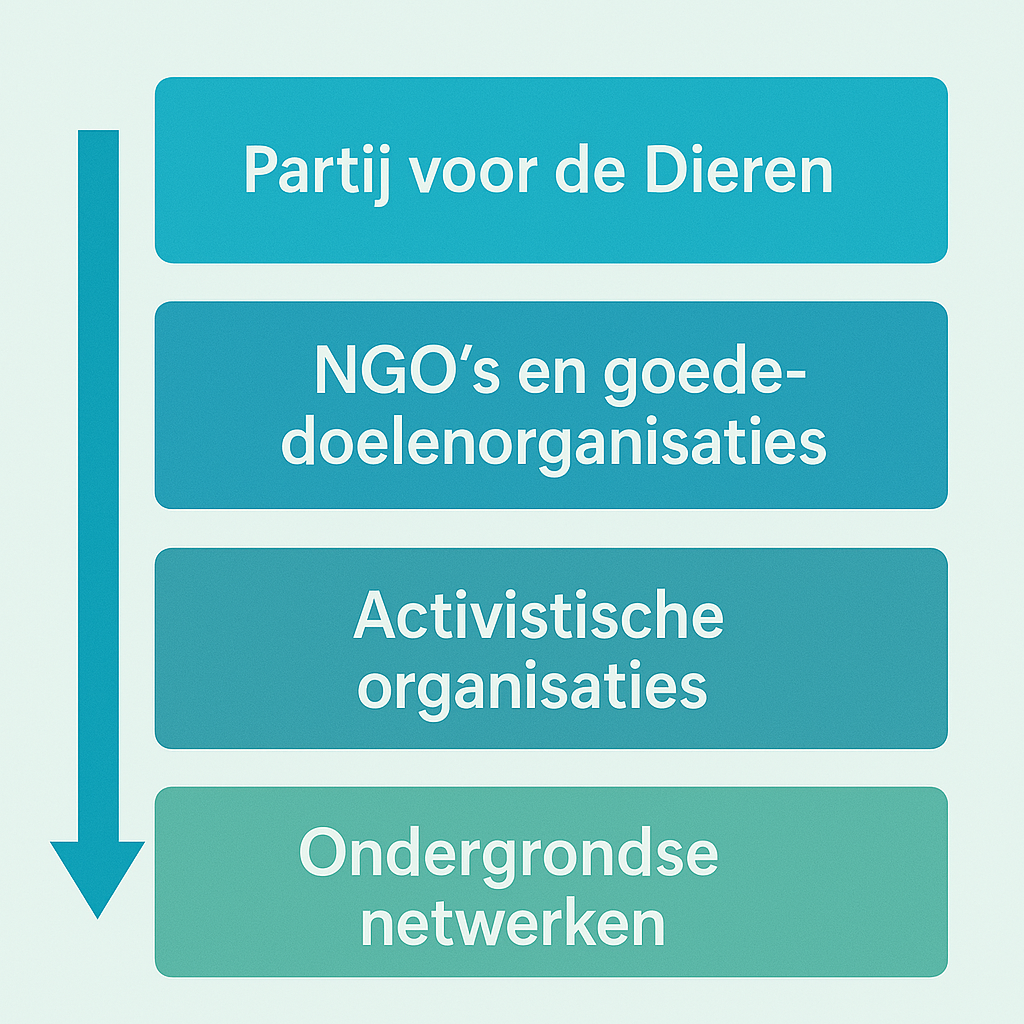 NGO's - politieke structuur
