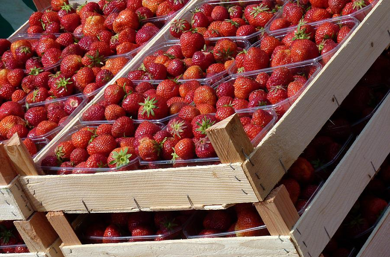 Doe mee: Korte Keten campagne voor agrariërs! 