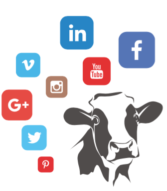 Wija digital marketing - Agrimarketing - DOC kaas