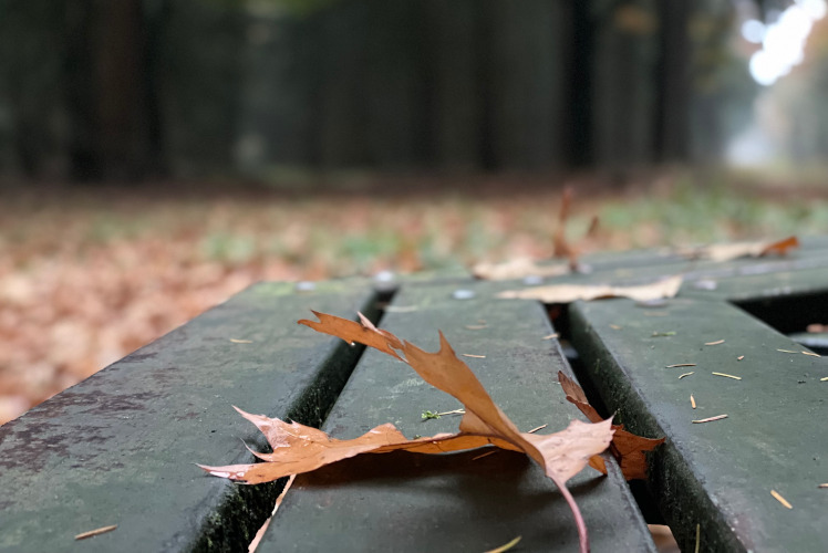 Wat is Instagram Reels?