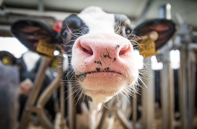 Boeren kom uit de boerenbubbel!