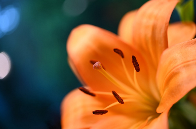 Social media inhakers