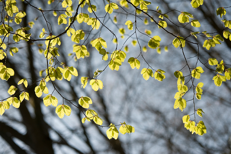 Het belang van doelgroepen uitsluiten op Facebook
