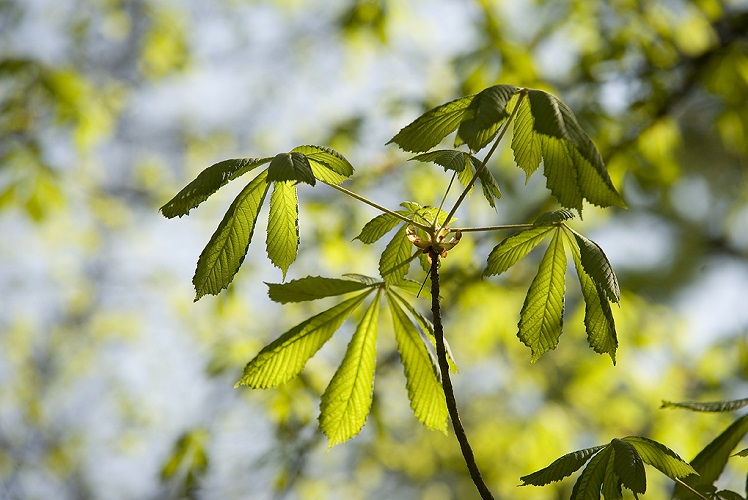 Overstappen naar Google Analytics 4