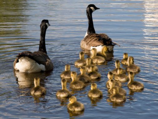 Wija DIgital Marketing - familiebedrijf