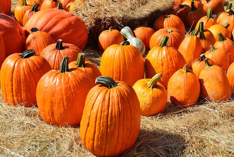 Hoe kan dat nou toch? Purposemarketing, zin of onzin?